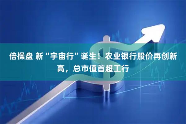 倍操盘 新“宇宙行”诞生！农业银行股价再创新高，总市值首超工行