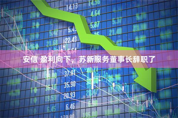 安信 盈利向下，苏新服务董事长辞职了