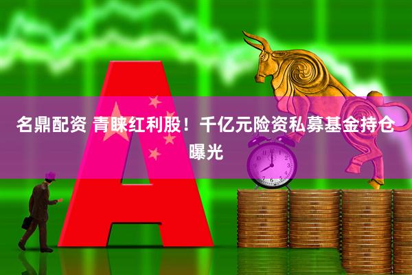 名鼎配资 青睐红利股！千亿元险资私募基金持仓曝光