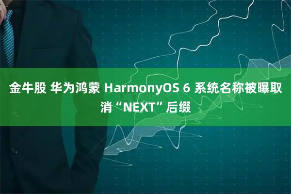 金牛股 华为鸿蒙 HarmonyOS 6 系统名称被曝取消“NEXT”后缀