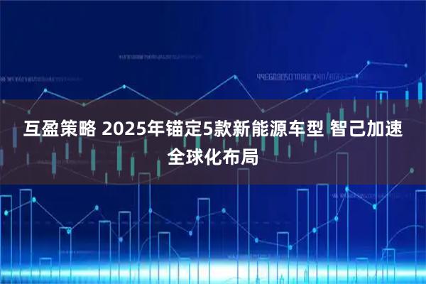 互盈策略 2025年锚定5款新能源车型 智己加速全球化布局
