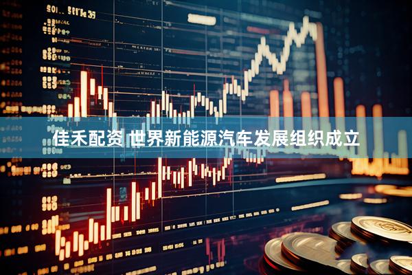 佳禾配资 世界新能源汽车发展组织成立