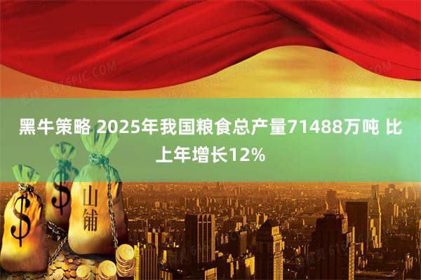 黑牛策略 2025年我国粮食总产量71488万吨 比上年增长12%