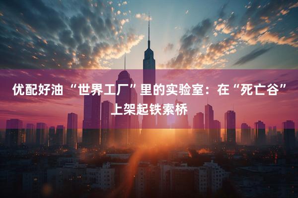 优配好油 “世界工厂”里的实验室：在“死亡谷”上架起铁索桥