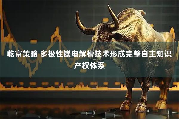 乾富策略 多极性镁电解槽技术形成完整自主知识产权体系